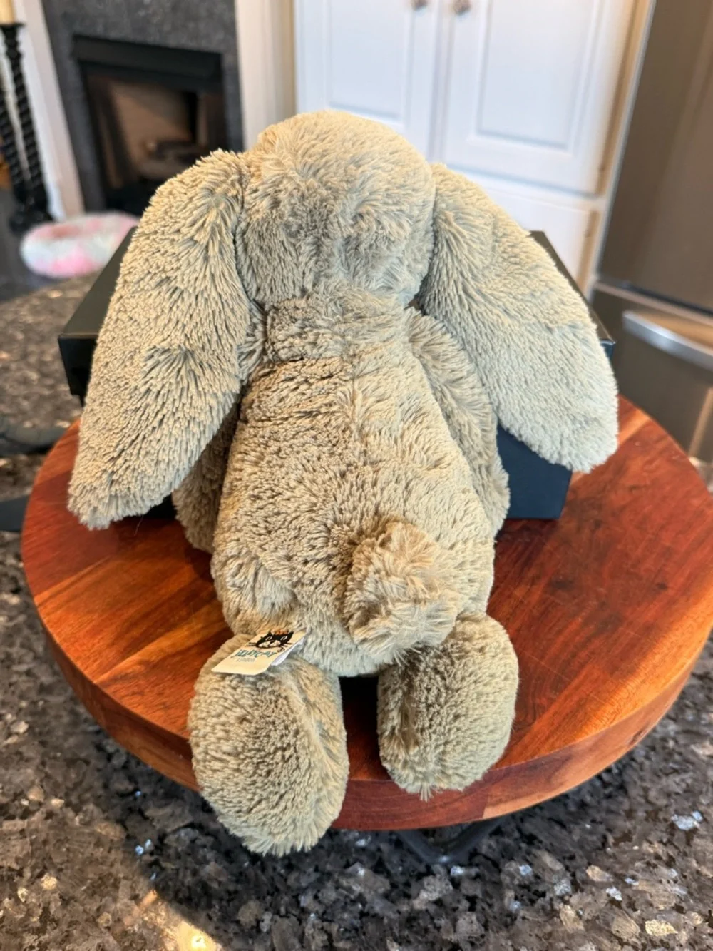 Medium Bashful Fern Bunny Jellycat - Retired & Authentic Design - Picture 11 of 11